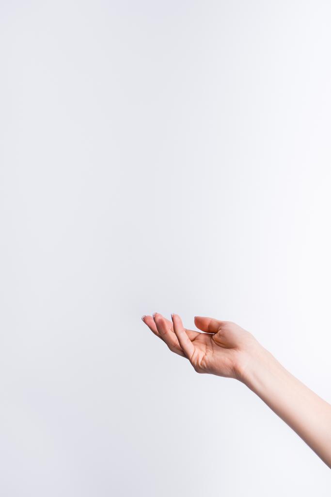 vista recortada de la mano femenina aislada en blanco - Foto, imagen
