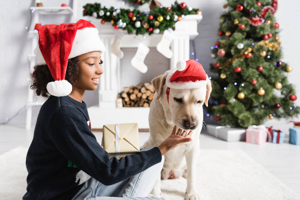 smiling african american girl stroking labrador dog while holding gift box on blurred background - Photo, Image