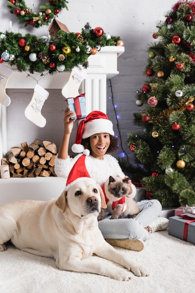 excitada chica afroamericana sosteniendo caja de regalo mientras está sentada cerca del árbol de Navidad con un gato esponjoso y un perro labrador  - Foto, imagen