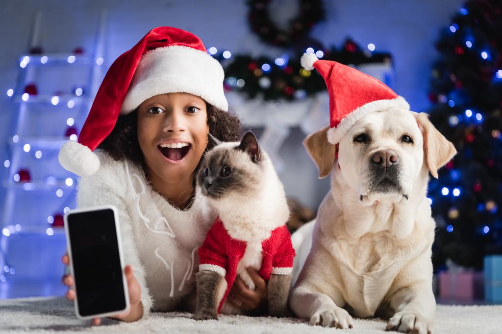 Beyaz ekranlı akıllı telefon gösteren Afro-Amerikalı bir kız yerde bulanık arka planda kedi ve köpeğin yanında yatıyor.   - Fotoğraf, Görsel