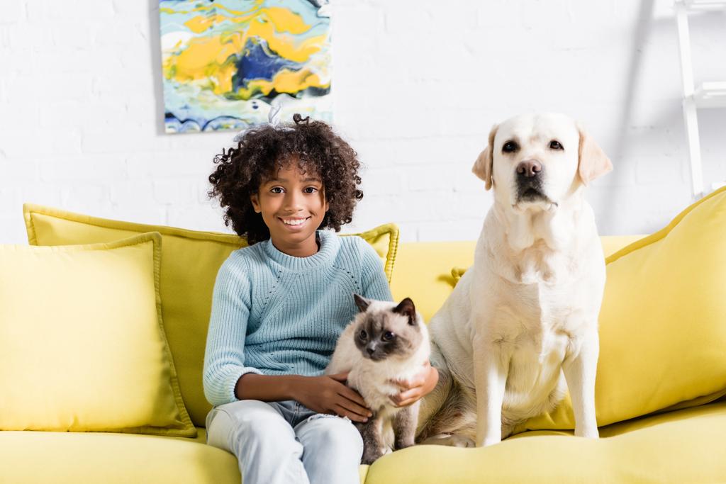 Usmívající se kudrnatý dívka dívá na kameru, zatímco sedí s labrador a siamské kočka na žluté pohovce doma - Fotografie, Obrázek