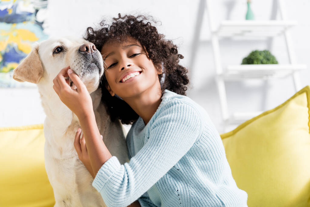 Gülümseyen Afro-Amerikan kızı av köpeğine yaslanırken evdeki sarı koltukta bulanık arka planda oturuyor.  - Fotoğraf, Görsel