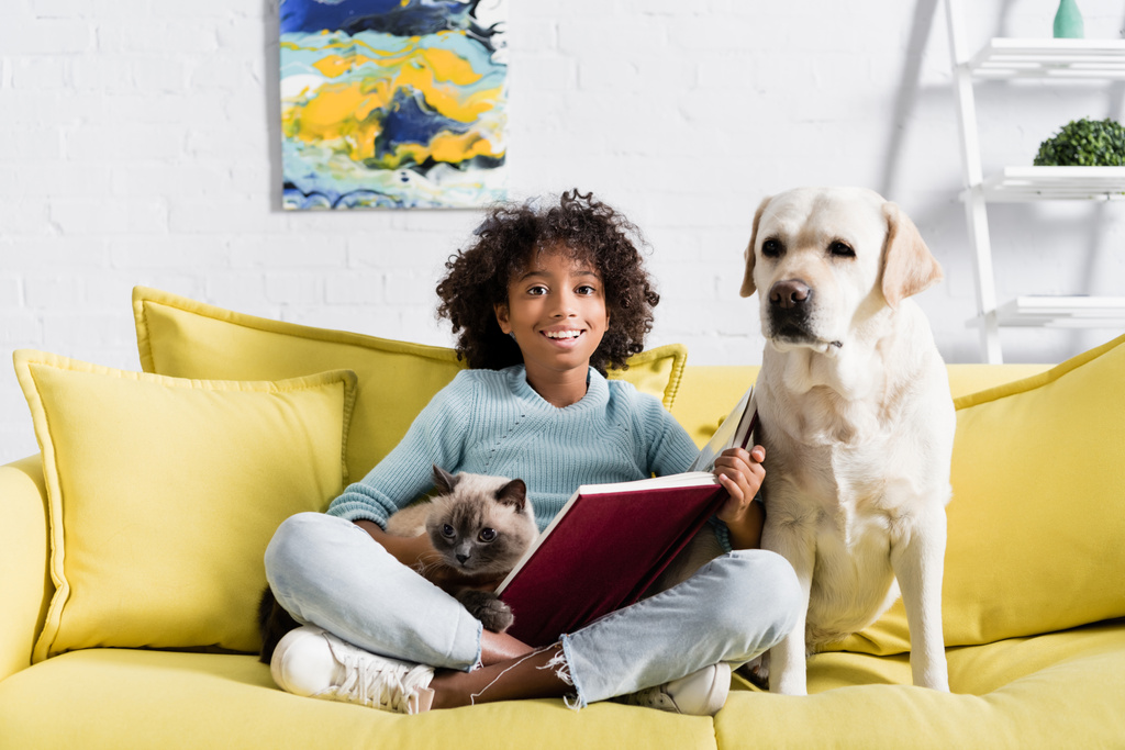 Happy curly african american girl with open book, embracing cat, while sitting near retriever on sofa at home - Photo, Image