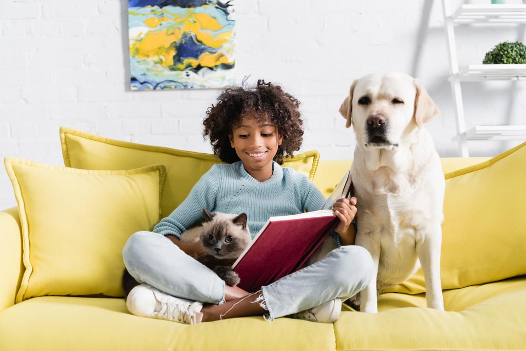 Chica afroamericana con libro abierto, mirando al gato, mientras está sentada cerca de retriever guiñando un ojo en el sofá en casa - Foto, imagen