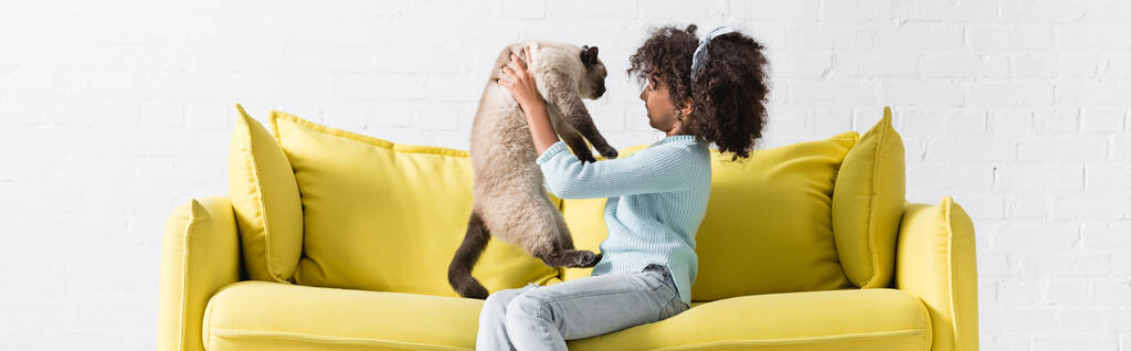Vista lateral de la chica americana africana rizada sosteniendo y mirando al gato siamés, mientras está sentado en el sofá en casa, pancarta - Foto, Imagen