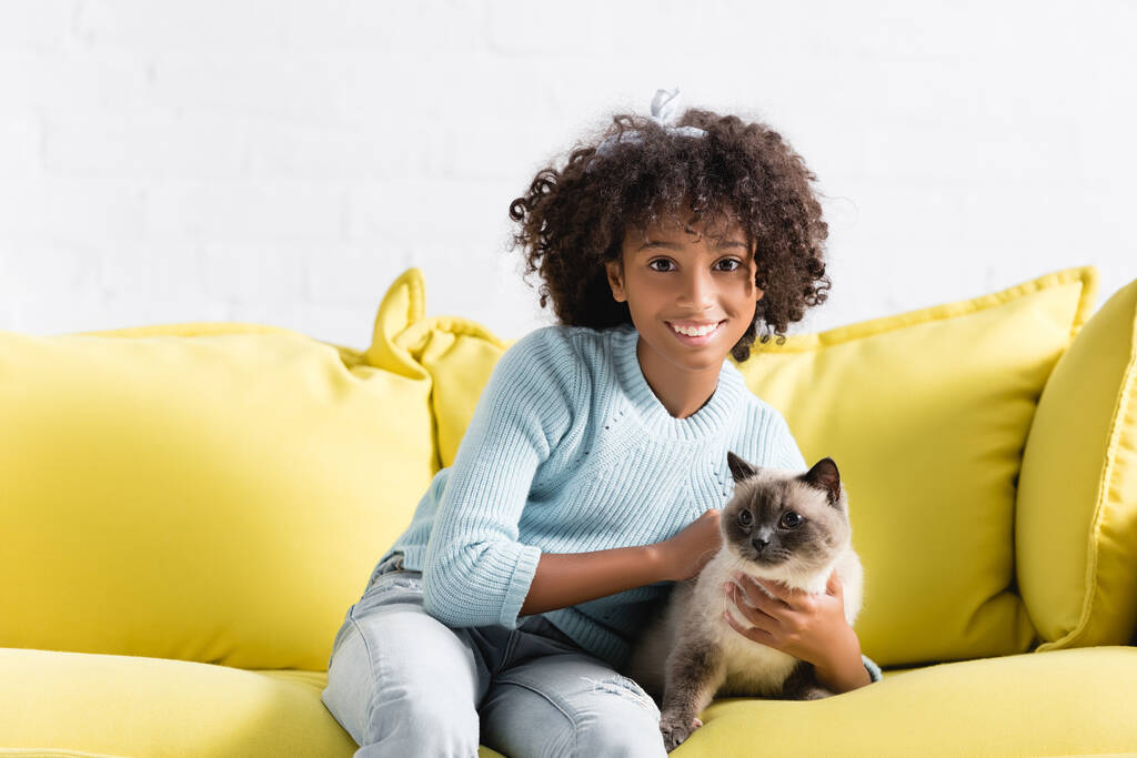 Heureuse fille afro-américaine caressant chat siamois, assis sur le canapé à la maison - Photo, image