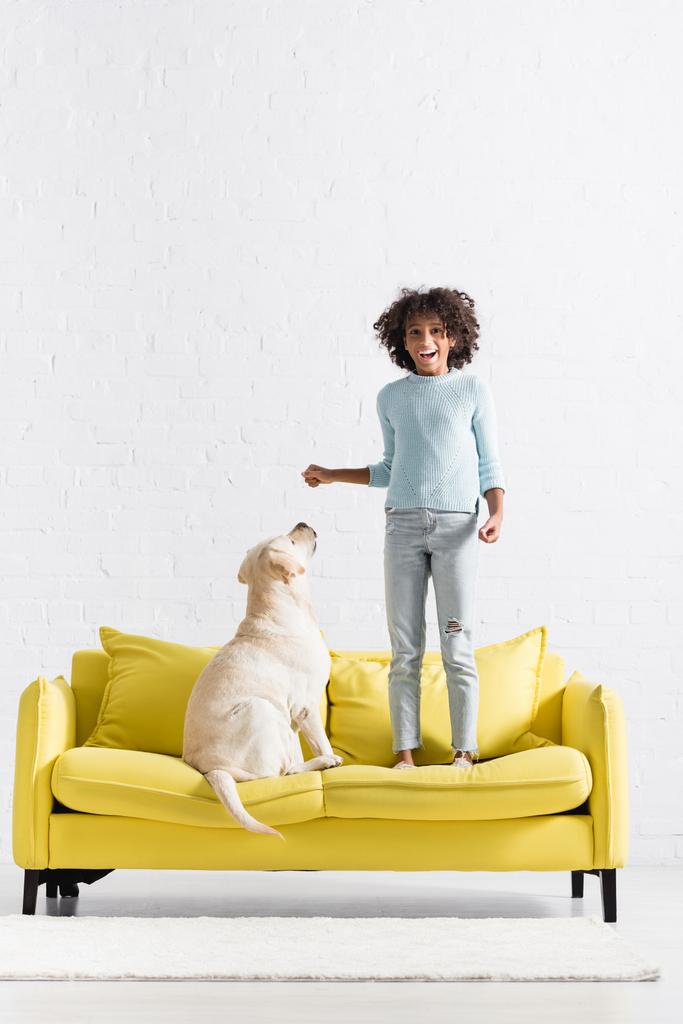 Excited african american girl standing on sofa near retriever, while looking at camera at home - Foto, afbeelding
