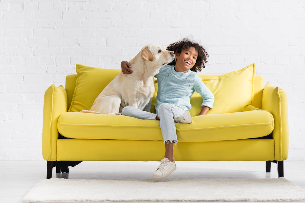 Cheerful african american girl embracing retriever sitting on sofa, while looking at camera at home - Foto, Imagen