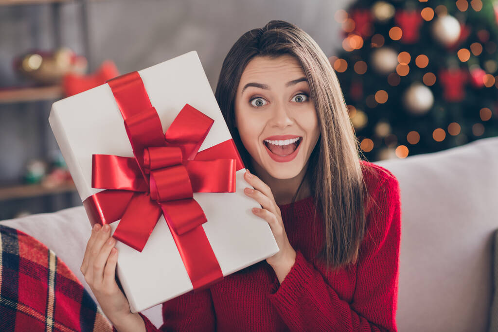 Zdjęcie pozytywnej dziewczyny siedzieć na kanapie trzymać duży prezent pudełko czuć wstrząśnięty nosić czerwony pullover w domu w domu z x-mas ozdoba Bożego Narodzenia - Zdjęcie, obraz