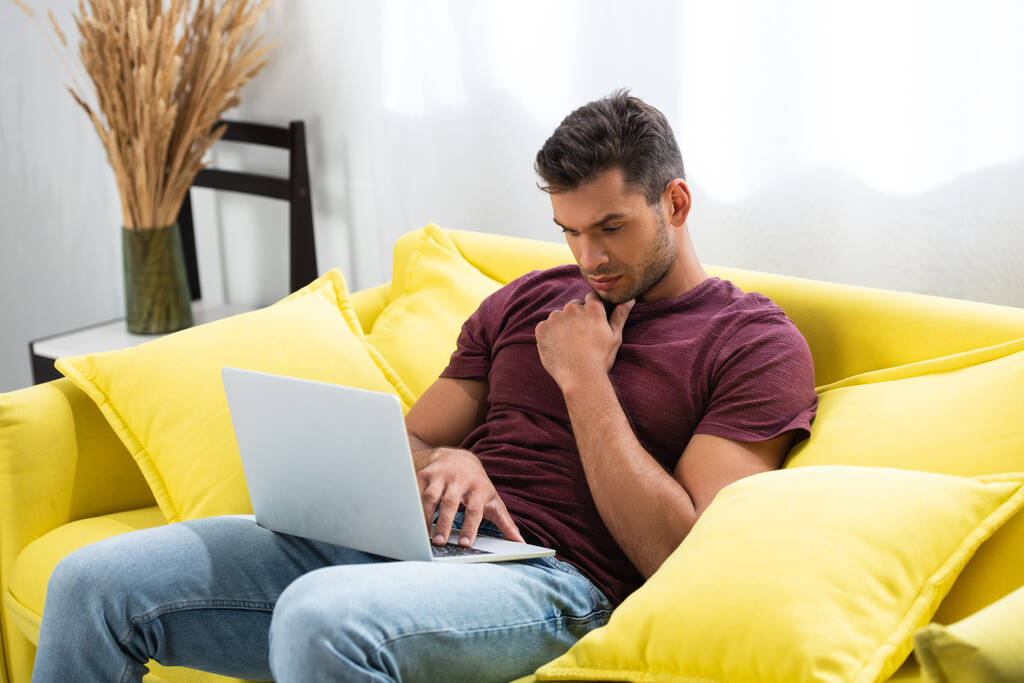 Freelancer pensativo usando laptop no sofá em casa  - Foto, Imagem