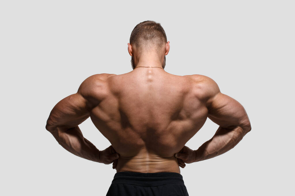 Giovane uomo atletico con un busto nudo mostra i muscoli isolati da una vista di sfondo grigio dalla schiena. - Foto, immagini