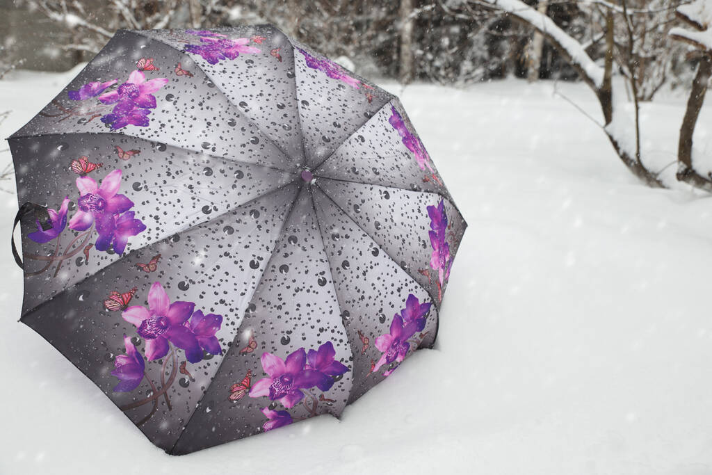 Umbrella in the snow. A bright gray umbrella with purple flowers lies on the white snow in the Park - Photo, Image