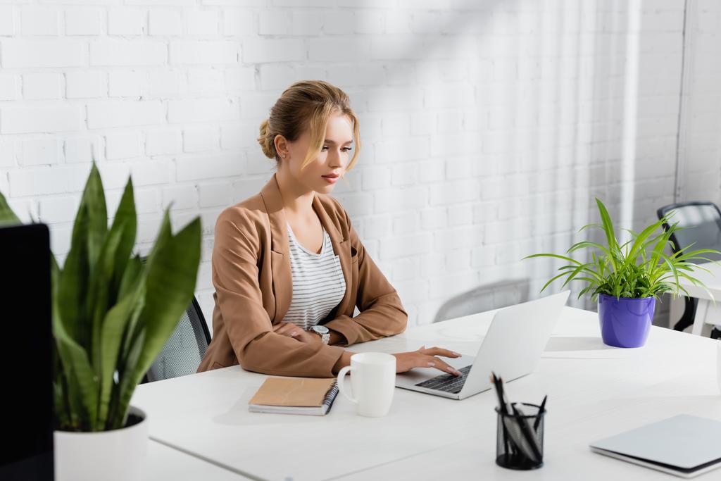 Mujer de negocios usando el ordenador portátil, mientras está sentado en la mesa con las plantas en primer plano borrosa - Foto, Imagen