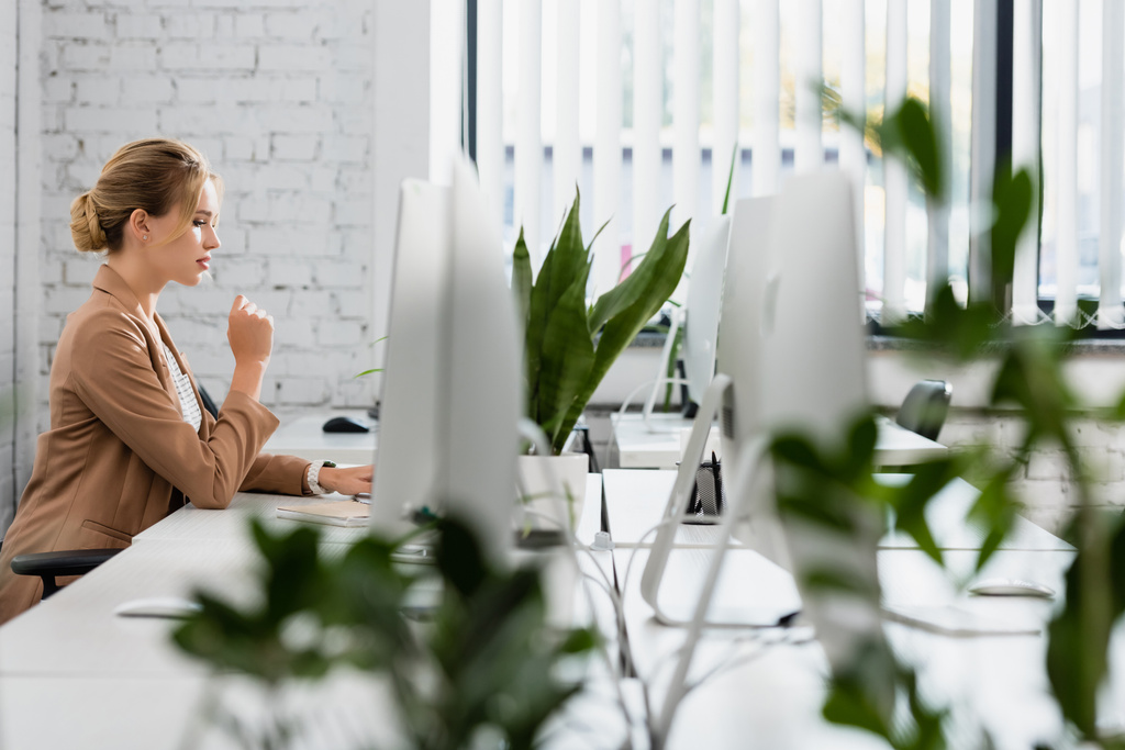 Empresaria trabajando, sentada a la mesa con monitores de ordenador en la oficina con planta borrosa en primer plano - Foto, Imagen