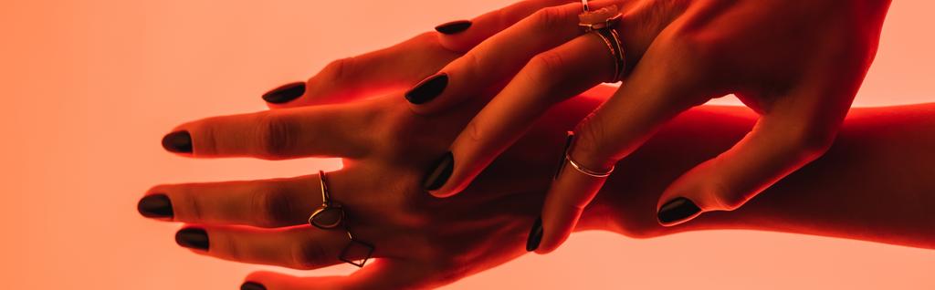 částečný pohled na ženské ruce s prsteny na růžové, banner - Fotografie, Obrázek