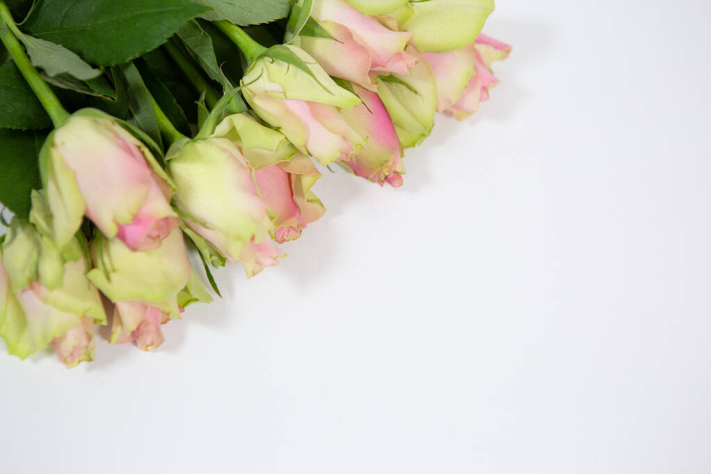 Un beau bouquet de roses roses et vertes délicates sur fond blanc comme cadeau pour les femmes en vacances - Photo, image