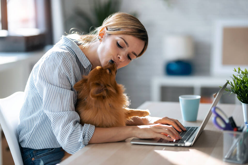 Shot van schattige mooie hond zoenen haar lachende eigenaar terwijl ze werkt met laptop in de keuken thuis. - Foto, afbeelding