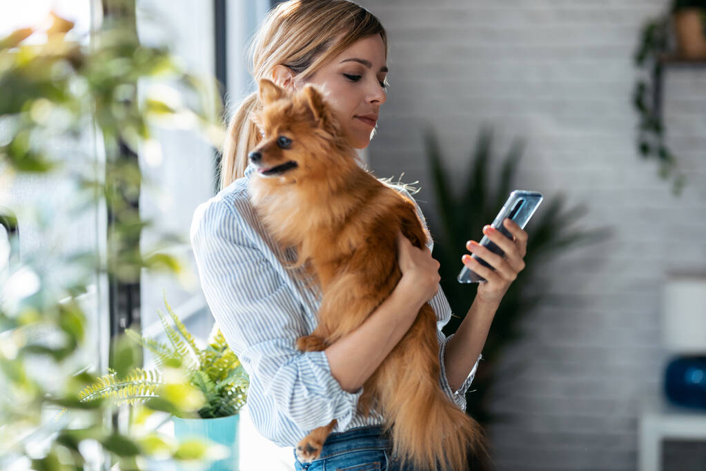 Lövés gyönyörű fiatal nő küld üzenetet mobiltelefonnal, miközben tartja a kis aranyos kutya áll az ablak mellett otthon. - Fotó, kép