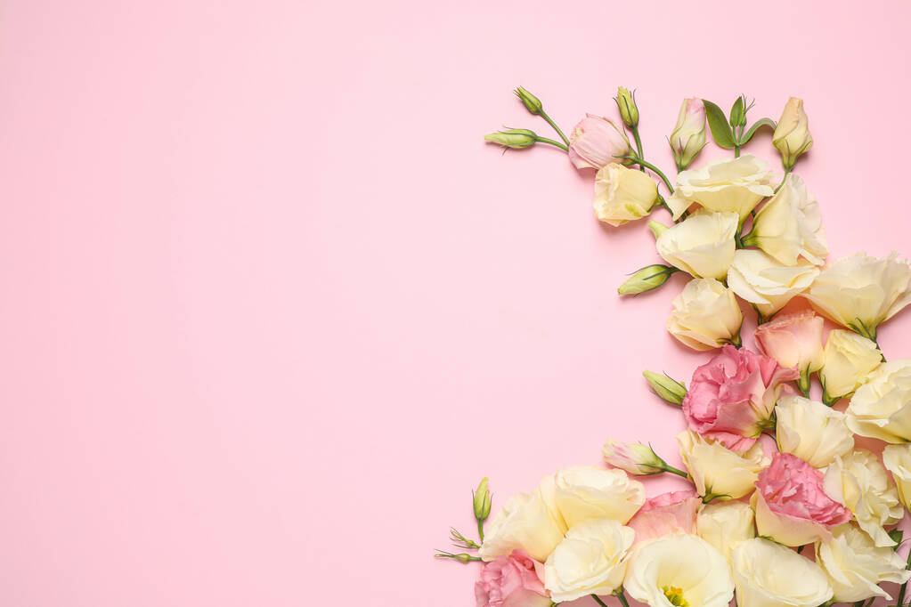 Mooie Eustoma bloemen op roze achtergrond, plat gelegd. Ruimte voor tekst - Foto, afbeelding