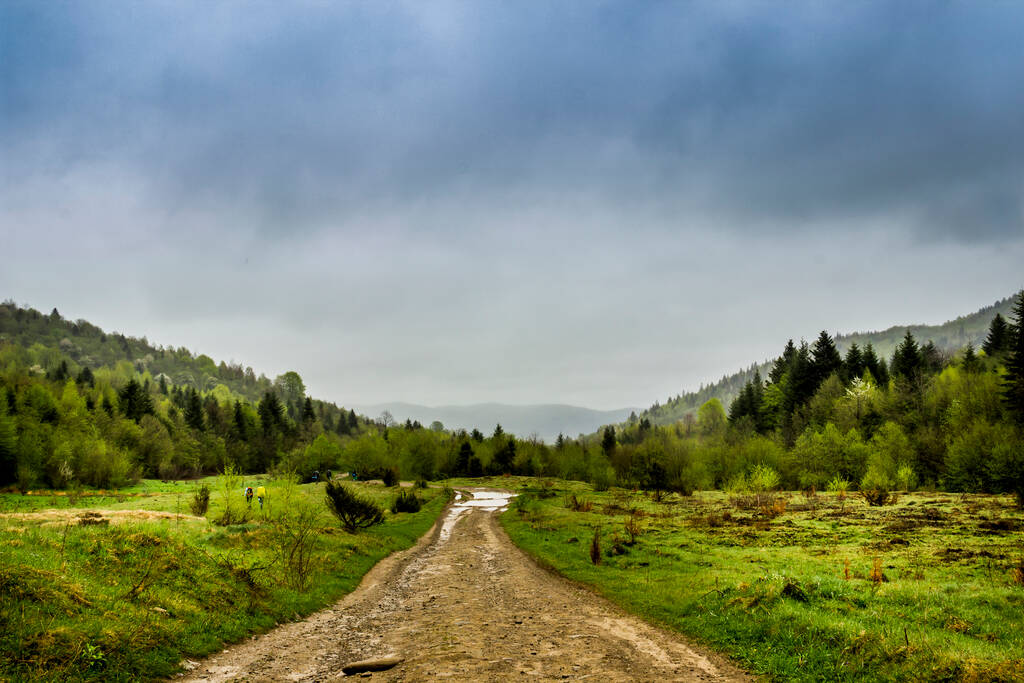 una strada forestale e un paesaggio delle montagne carpatiche, parco nazionale Skolivski beskidy, regione di Leopoli di Ucraina Occidentale - Foto, immagini