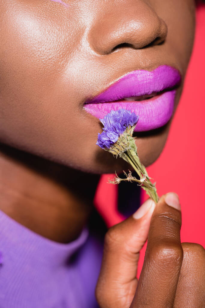 vista recortada de la joven afroamericana con flor púrpura aislada en rojo - Foto, Imagen