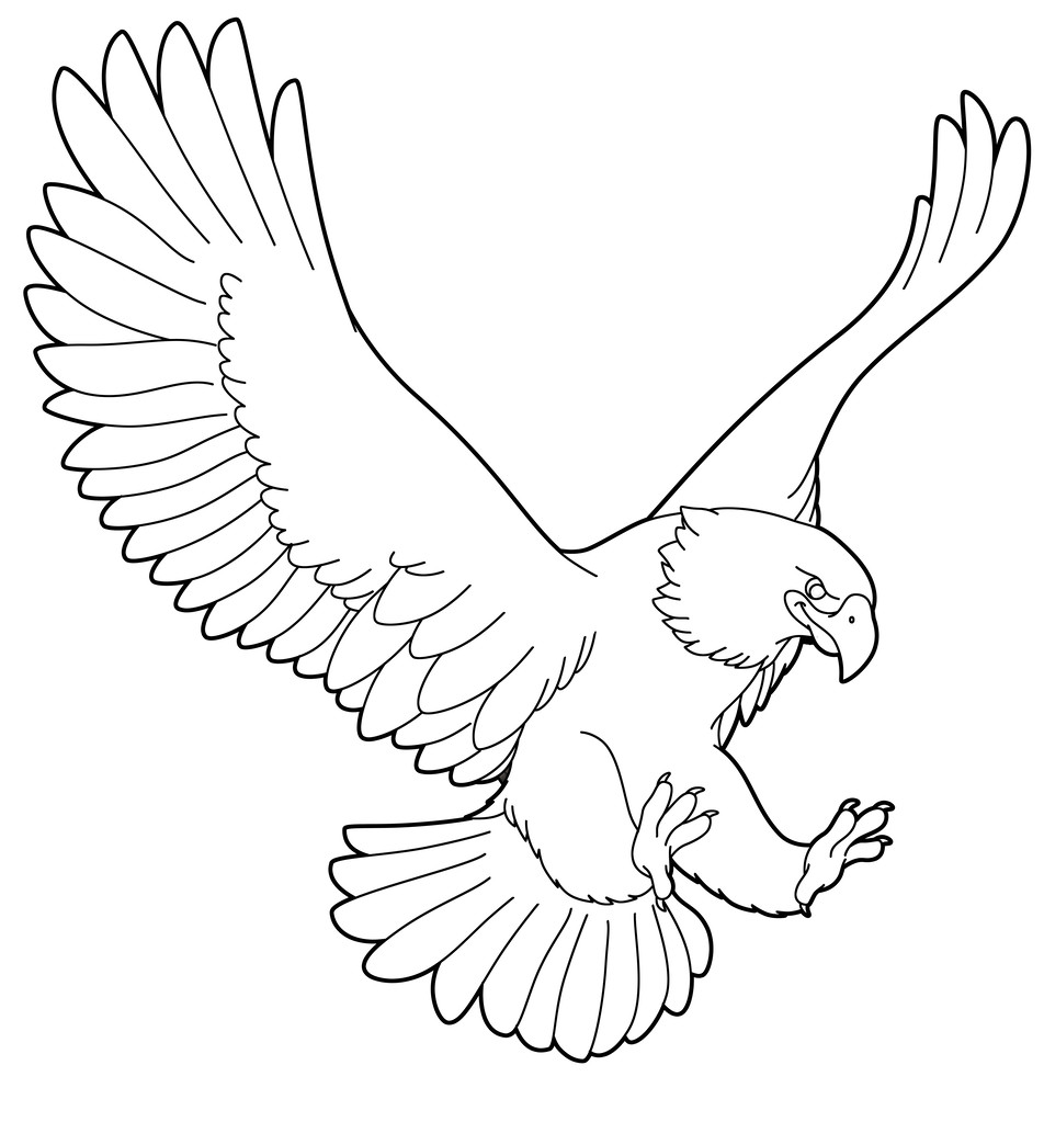 Animales de dibujos animados - águila salvaje
 - Foto, Imagen