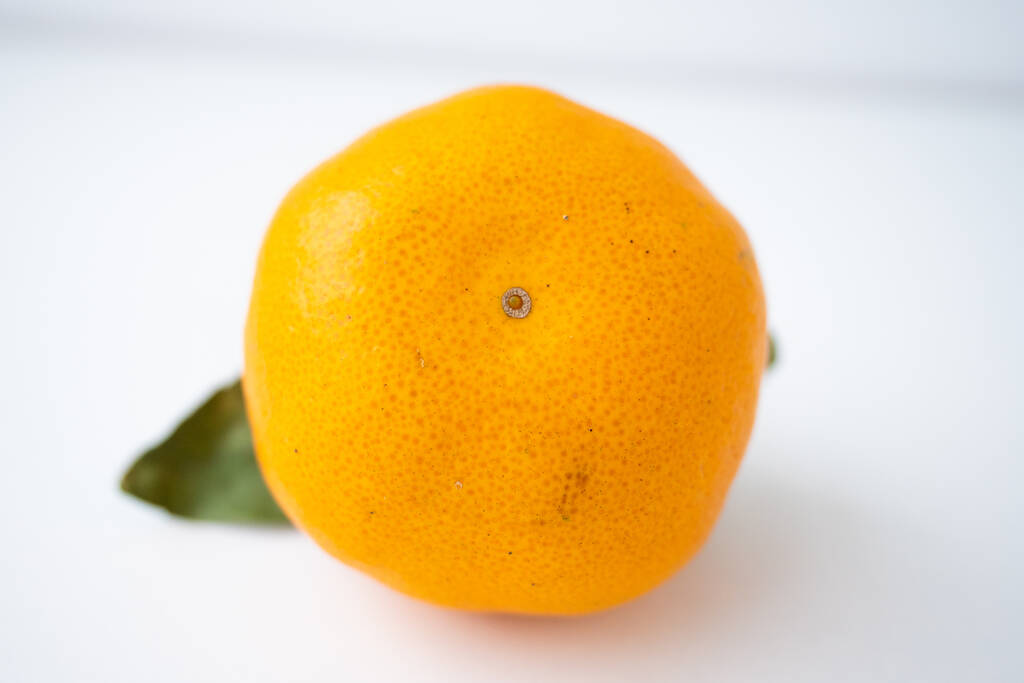 Φώτο μανταρίνι πορτοκάλι εσπεριδοειδή με φύλλα, ένα κέρασμα για τις διακοπές στο νερό. Μιταμίνες φυσικές - Φωτογραφία, εικόνα