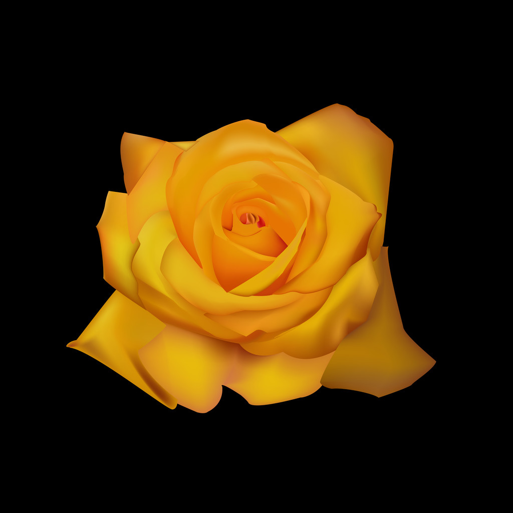 Rózsa sárga vektoros illusztráció - Vektor, kép