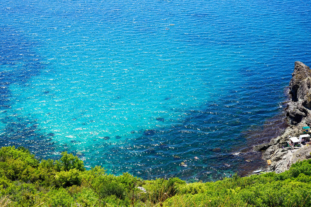  紺碧の海と緑の海岸  - 写真・画像