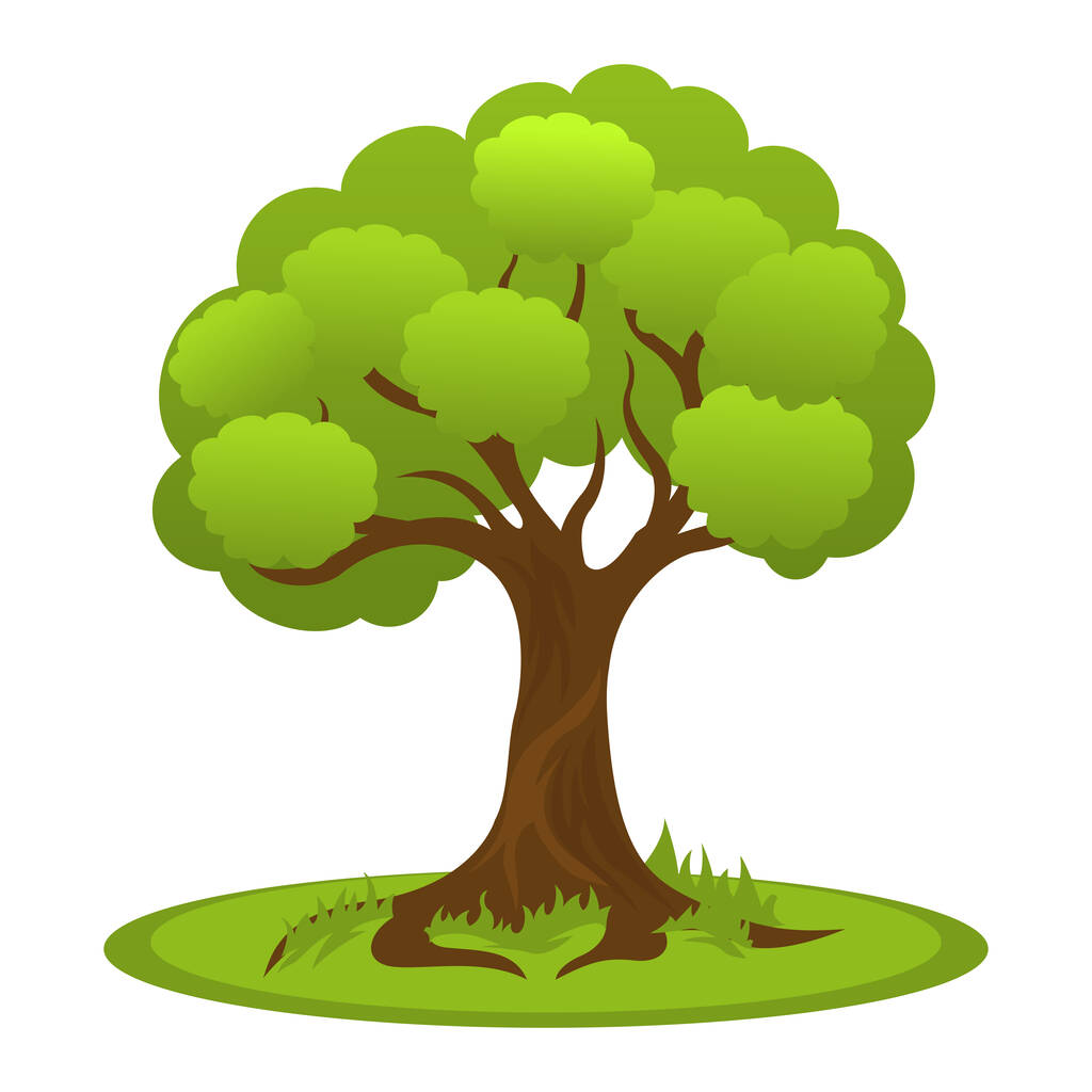 Summer tree with flat crown - Vector, Image
