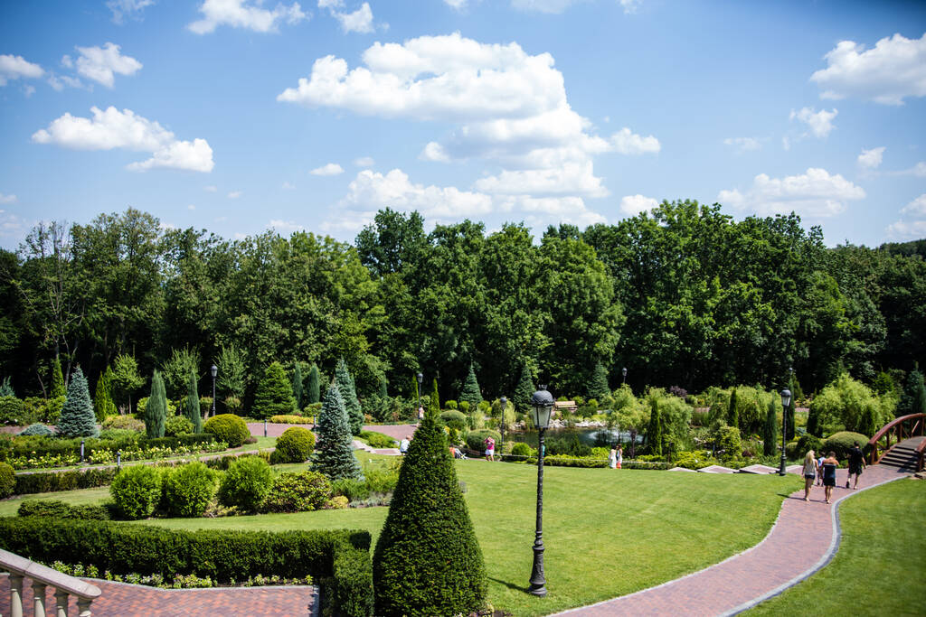 prachtig park met groene bomen en een blauwe lucht - Foto, afbeelding