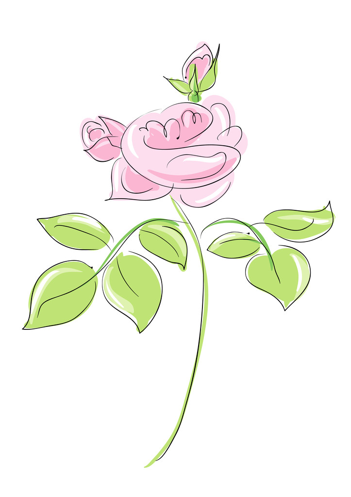 růže růžová - Vektor, obrázek