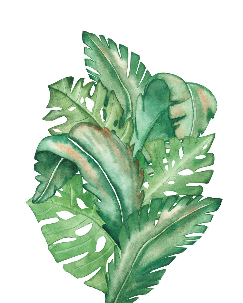 Akvarel ručně malované příroda svěží tropické letní složení se zeleně různé palmové banánové listy kytice na bílém pozadí pro džungle zahradní karty prvky design - Fotografie, Obrázek
