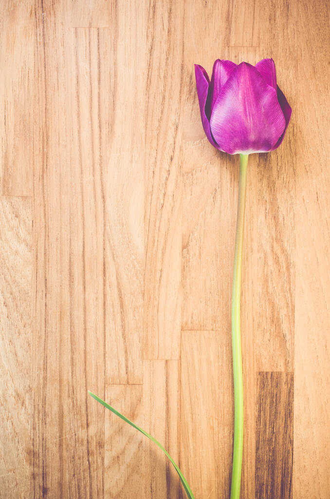 Un colpo verticale di un tulipano viola su una superficie di legno - copiano lo spazio - Foto, immagini