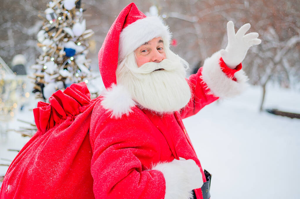 Портрет Санта-Клауса у рождественской елки на открытом воздухе - Фото, изображение