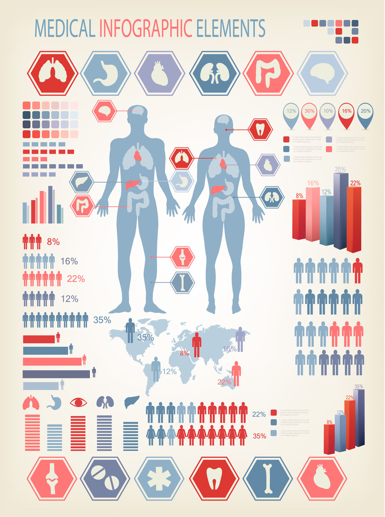 Lékařské infografiky prvky. Lidské tělo s vnitřními orgány.  - Vektor, obrázek