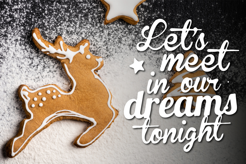 鹿の形をしたクッキーのトップビュー,松や星の近くに私たちの夢で今夜のレタリングや砂糖粉末を満たすことができます - 写真・画像