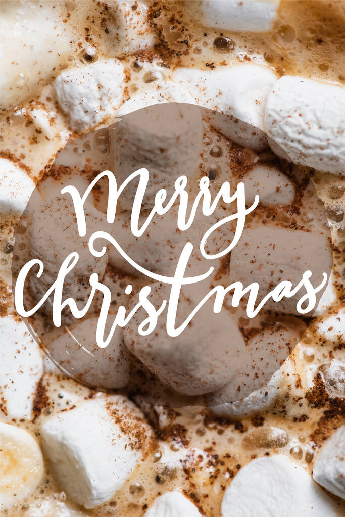 Close up view of cocoa, marshmallows and cinnamon with merry chChristmas lettering  - Фото, изображение
