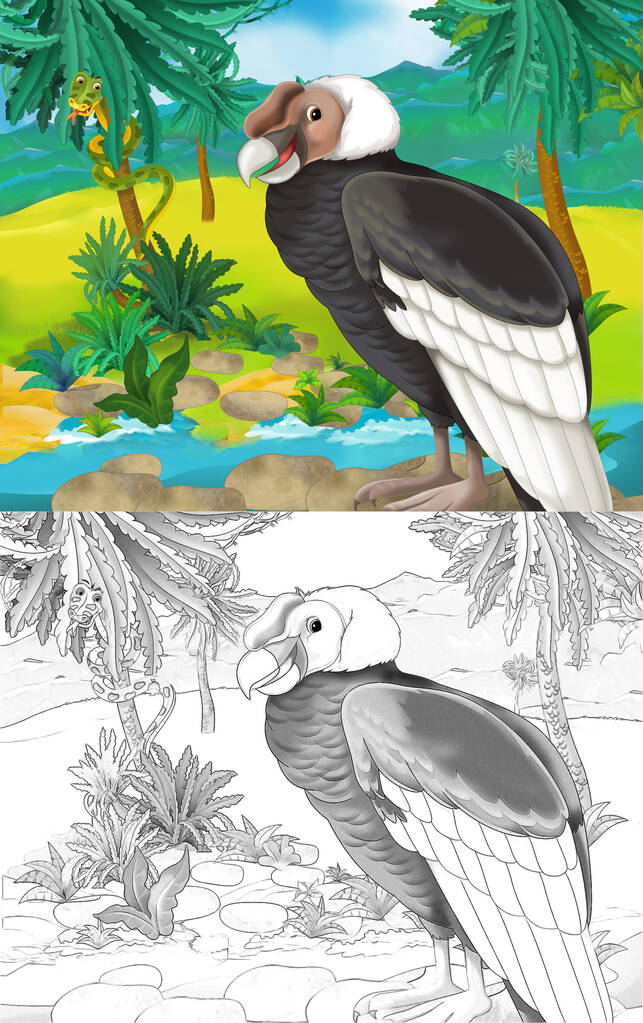 自然の中で野生動物の鳥のハゲタカと漫画シーン-イラスト-子供のための - 写真・画像