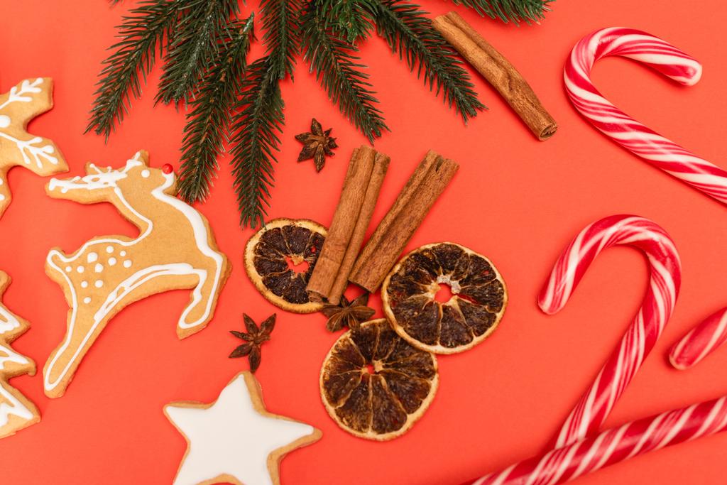 top view of Christmas tree, candy canes, spices and gingerbread cookies on red background - Photo, Image
