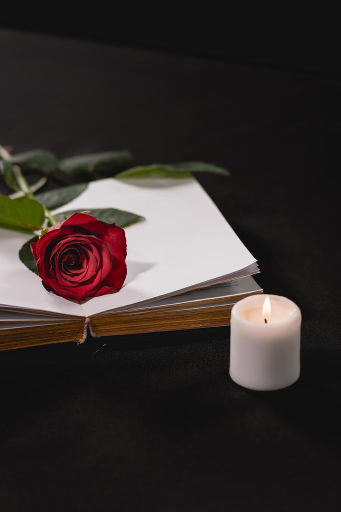 czerwona róża na świętej Biblii w pobliżu świecy na czarnym tle, koncepcja pogrzebu - Zdjęcie, obraz