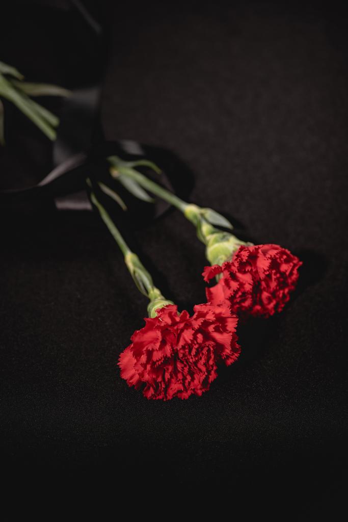 two red carnation flowers with ribbon on black background, funeral concept - Photo, Image