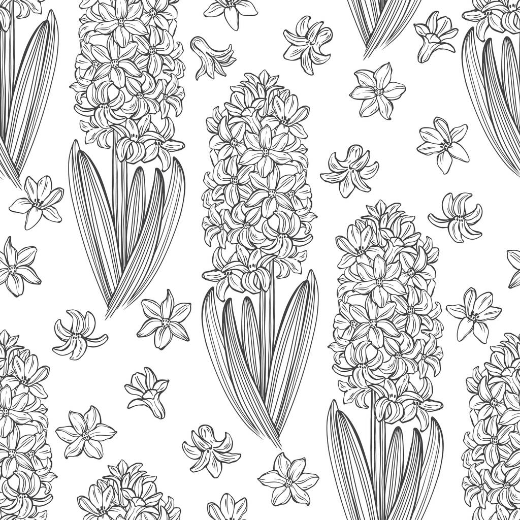  Hyacinten. Bloemen eindeloze achtergrond. Handgetekende lente vector illustratie. Zwart en wit.Overzicht. - Vector, afbeelding