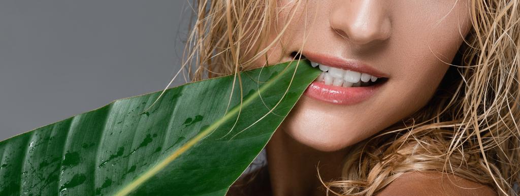cropped view of blonde woman with wet hair and green leaf in mouth isolated on grey, banner - Photo, Image