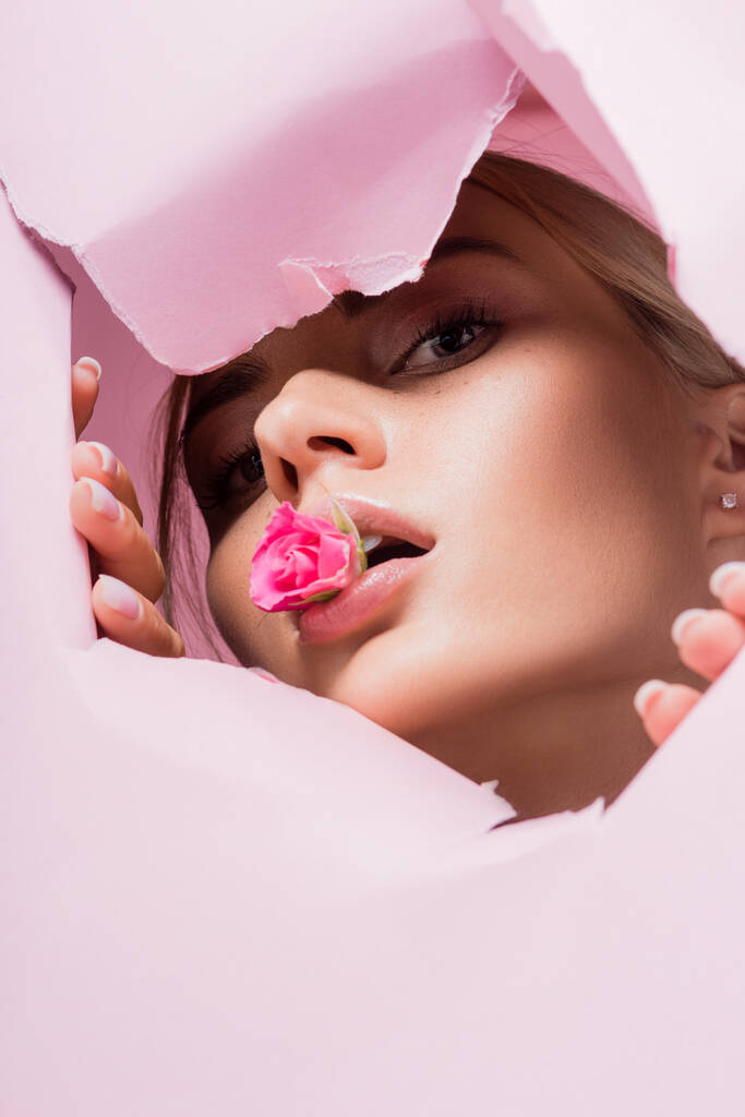 piękna kobieta z różą w ustach w różowym papierowym otworze - Zdjęcie, obraz