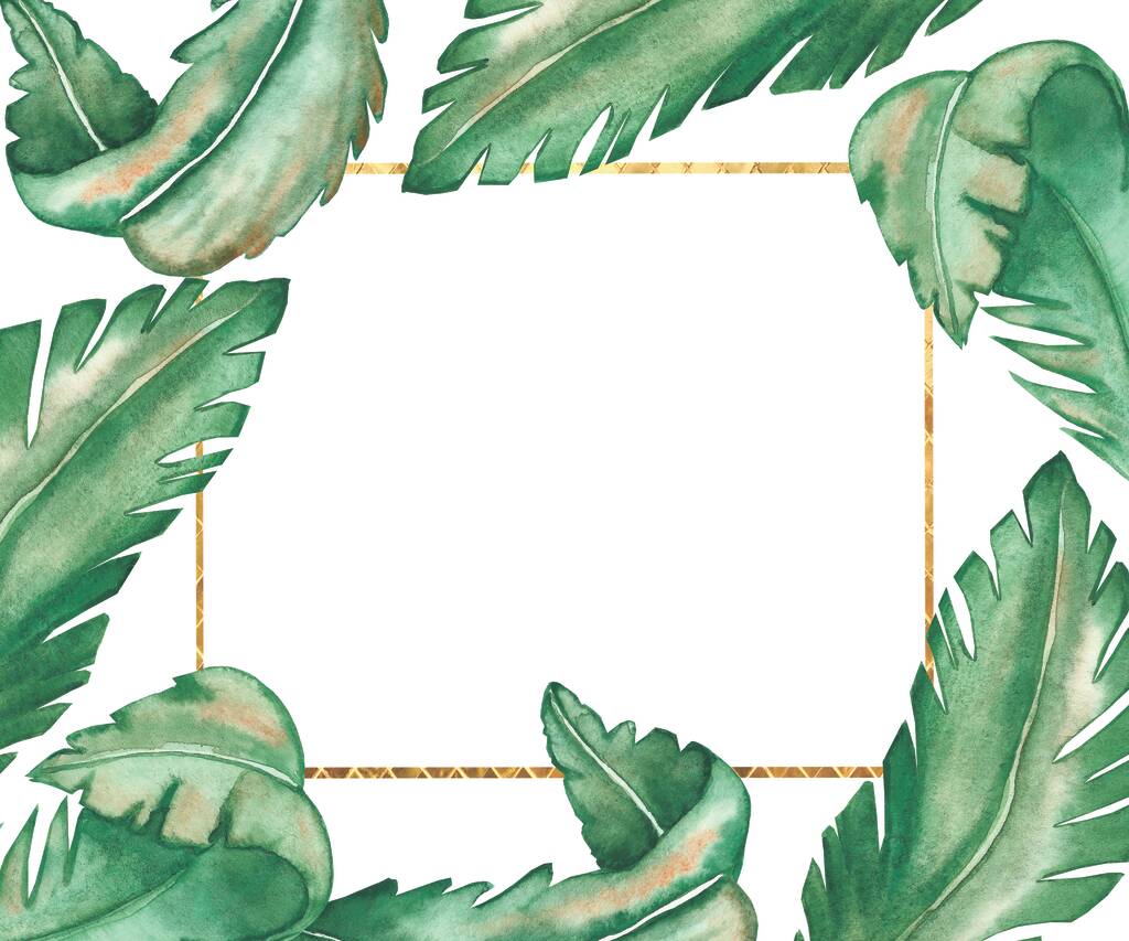 Vesiväri käsin maalattu luonto trooppinen raja runko vihreä banaani palmunlehtiä ja kultaisia viivoja eristetty valkoisella taustalla kutsun ja onnittelukortti tilaa tekstiä - Valokuva, kuva