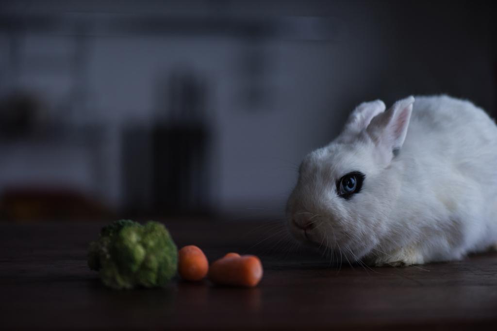 niedliches Kaninchen mit blauem Auge in der Nähe von Karotten und Brokkoli - Foto, Bild