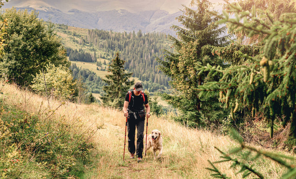 Hiker with dog walking along path - Photo, Image
