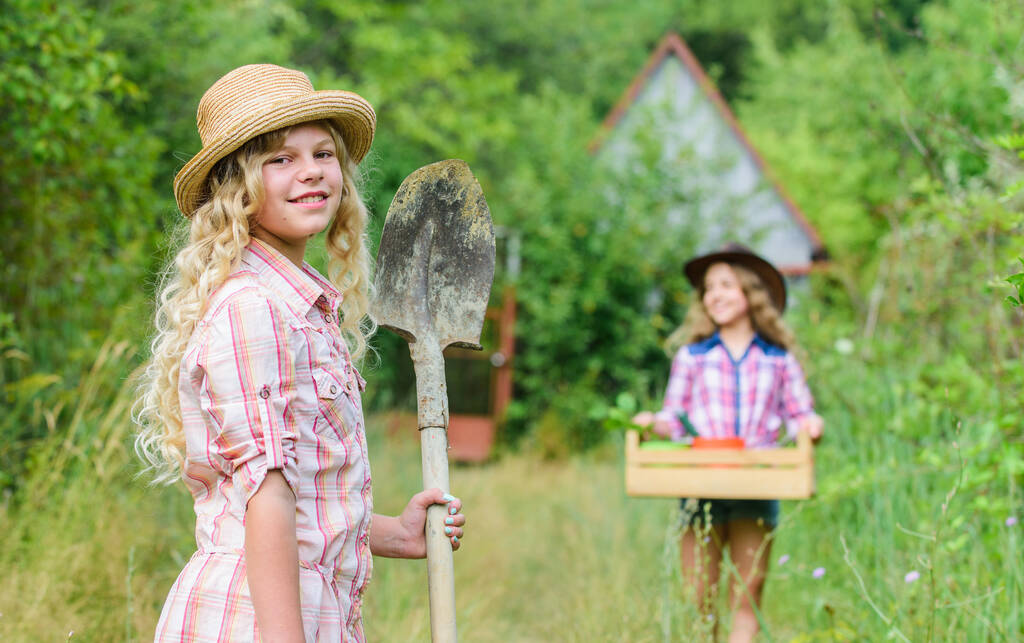 庭園素晴らしい場所は子供のための意味のある楽しい学習体験を育成します。庭の基本。園芸教育ライフサイクルプロセス。庭のためのツールを持つ子供の女の子。田舎の夏 - 写真・画像