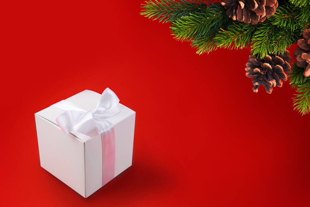 weiße Schachtel mit Geschenk gebunden mit Seidenband mit Schleife und Zweig des Weihnachtsbaums - Foto, Bild